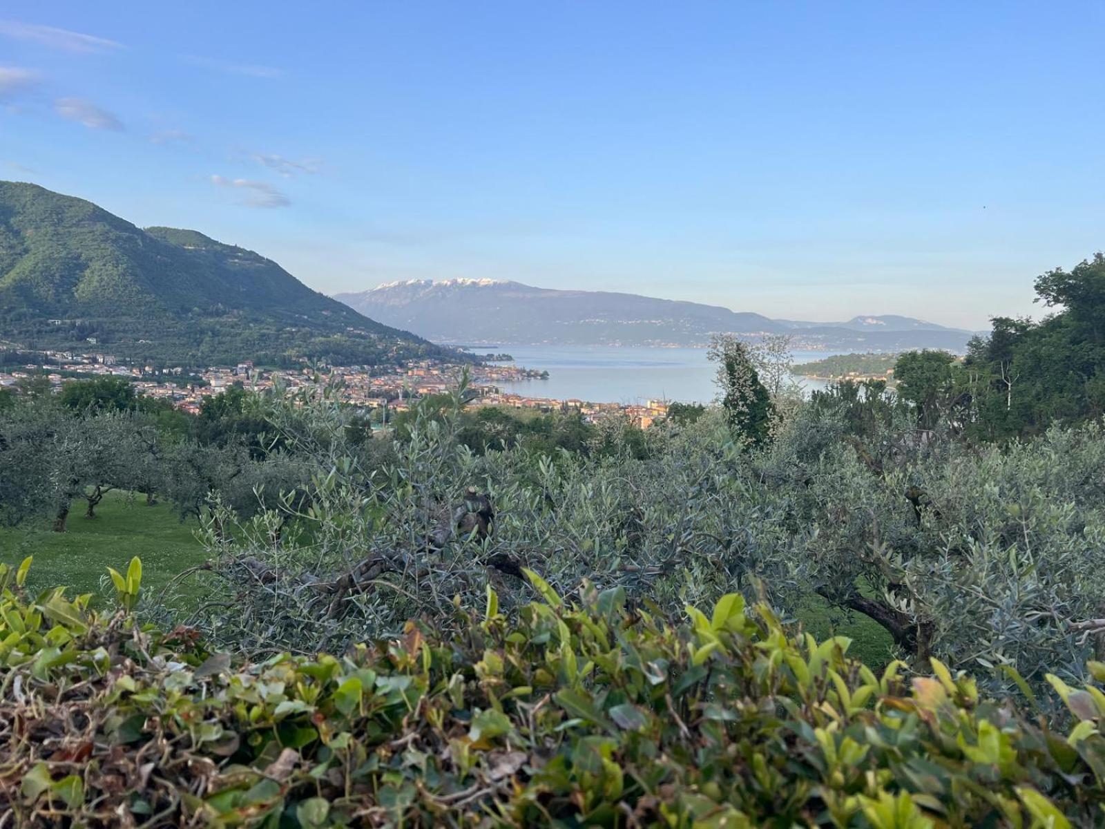 סן פליס דל בנאקו La Finestra Sul Garda Dreaming Holidays מראה חיצוני תמונה
